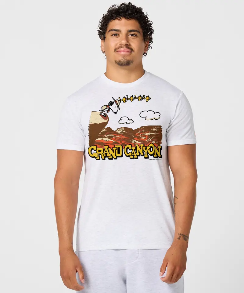 Peanuts Snoopy X Grand Canyon National Park 3