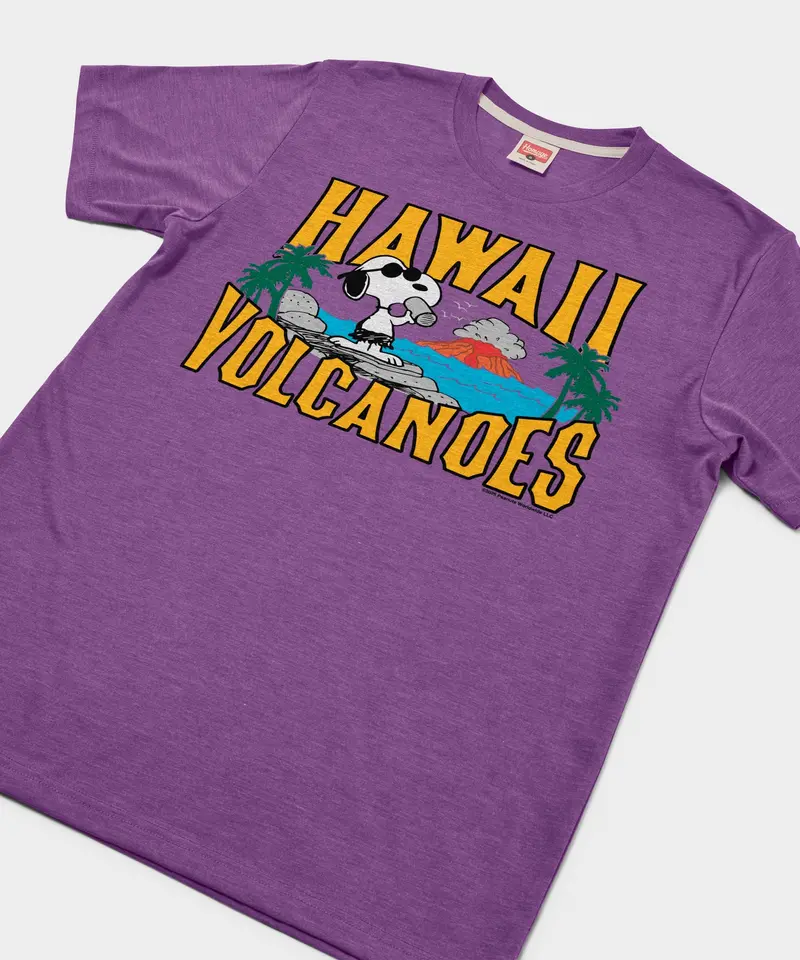 Peanuts Snoopy X Hawaii Volcanoes National Park 2