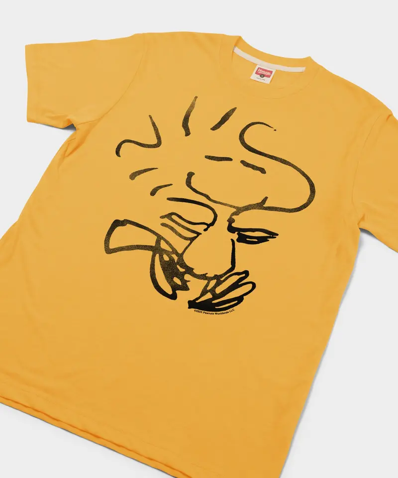 Peanuts Woodstock Character 2