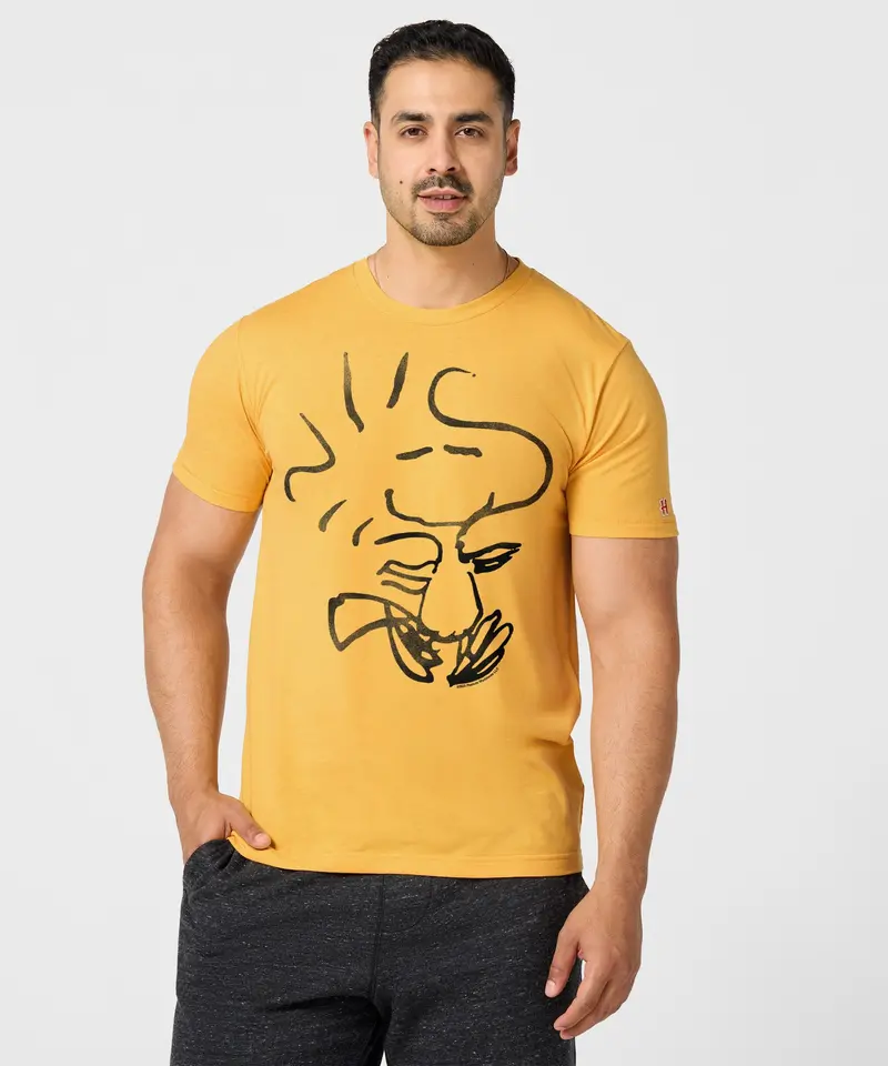 Peanuts Woodstock Character 3