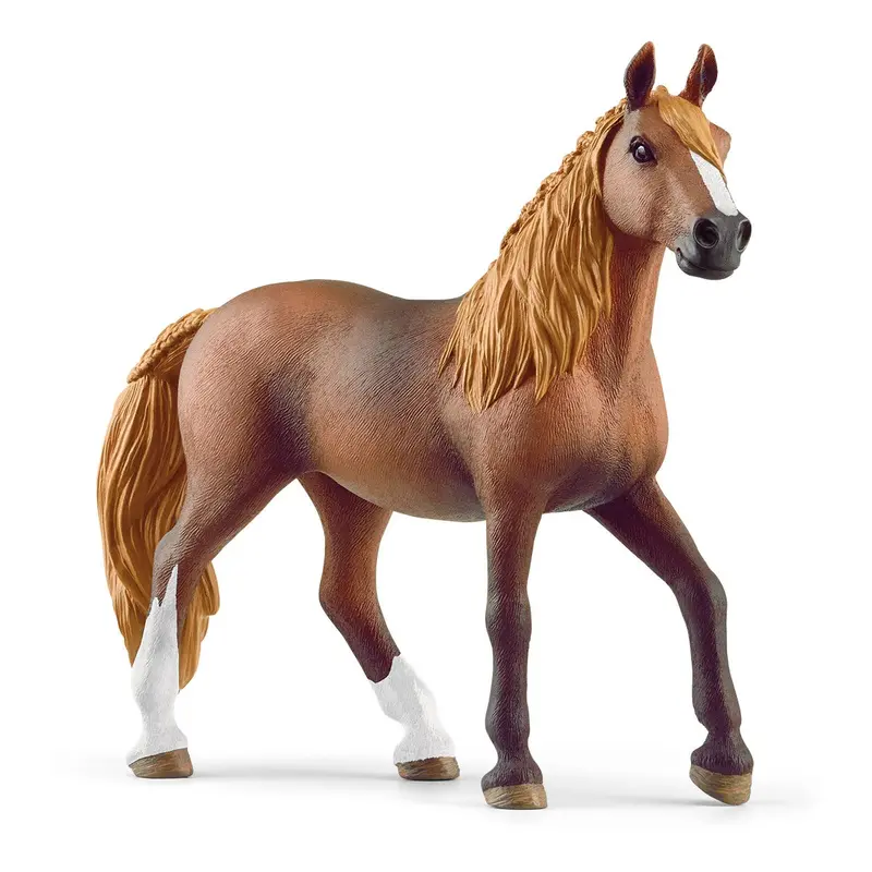 Peruvian Paso Mare 1