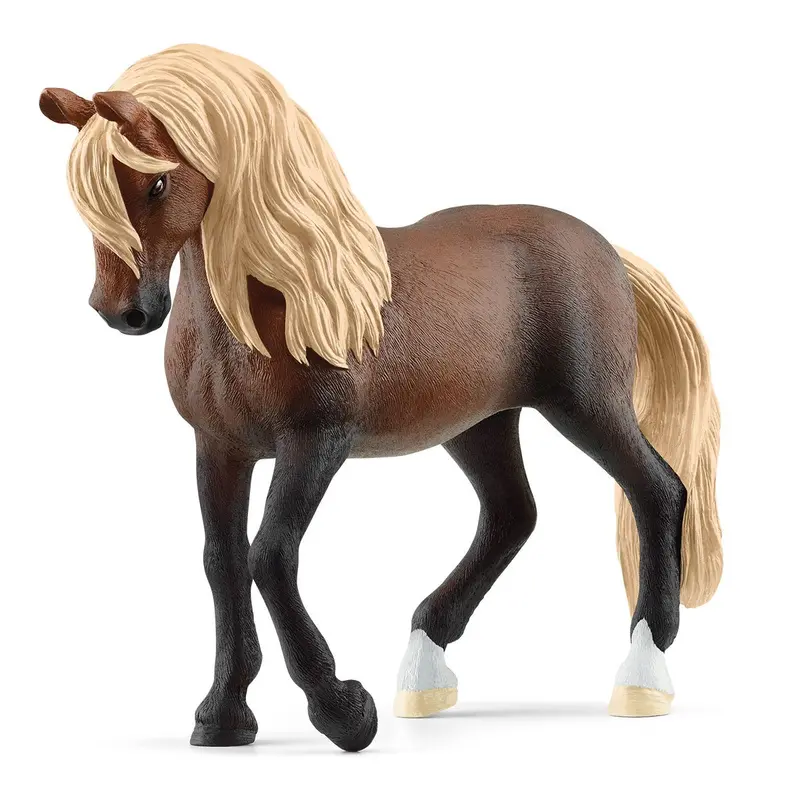 Peruvian Paso Stallion 1