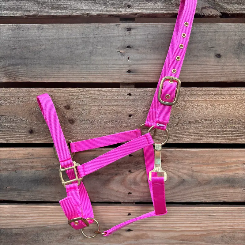 Pink Nylon Horse Halter Nhpink 2