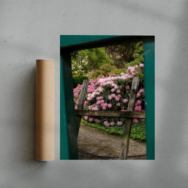 Pink Rhododendrons 3