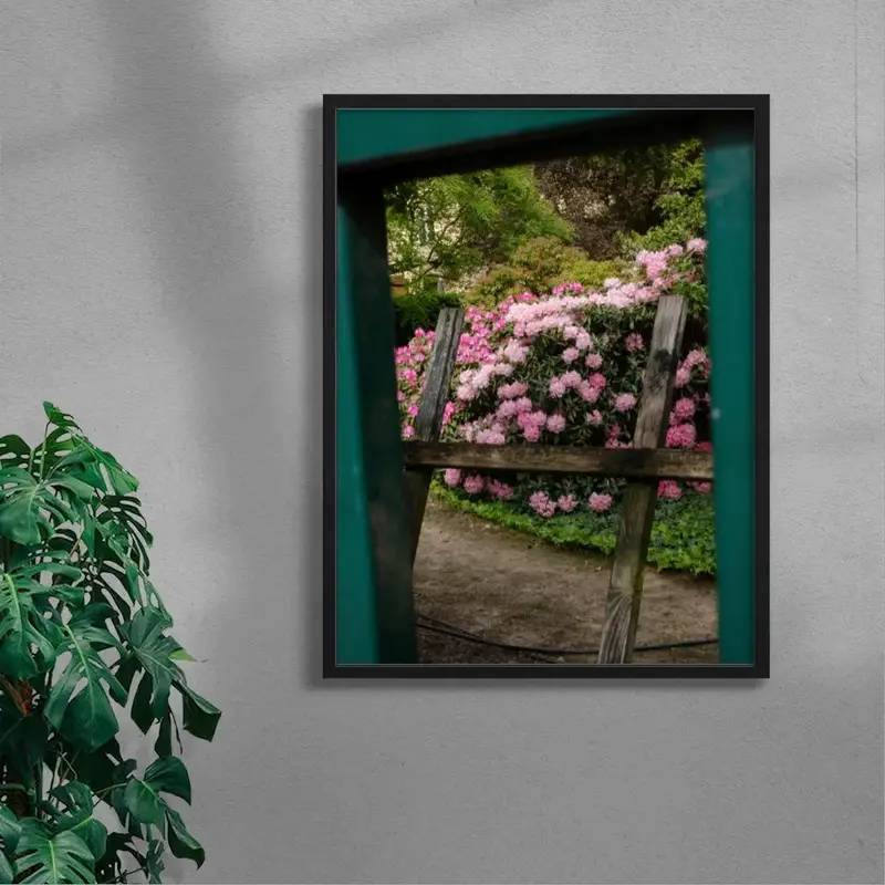 Pink Rhododendrons 4