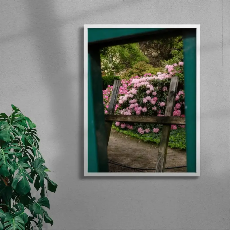 Pink Rhododendrons 5
