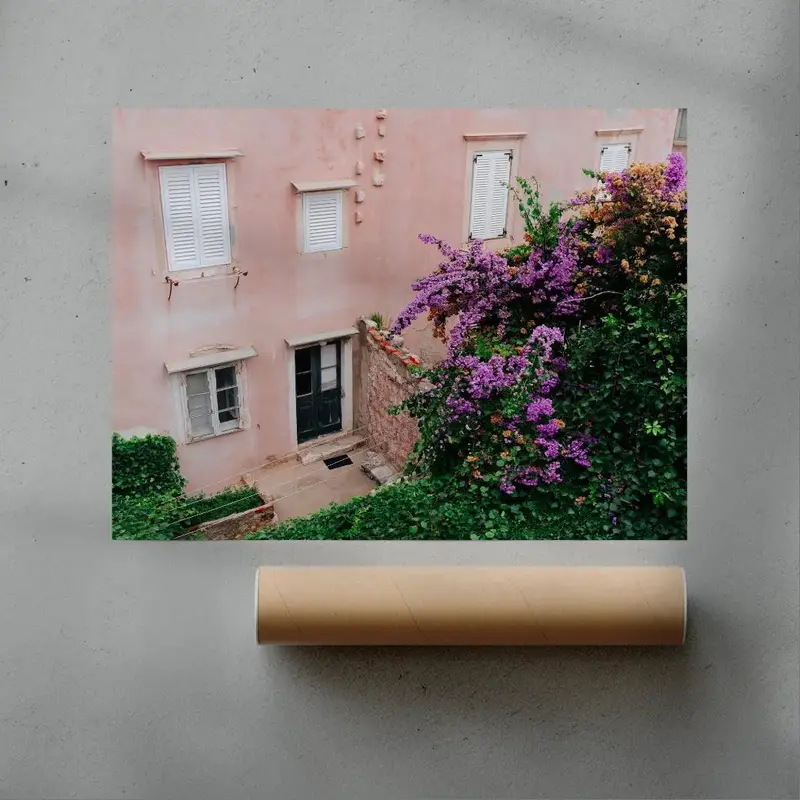 Pink Wall Bougainvillea 3