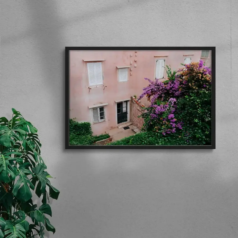Pink Wall Bougainvillea 4