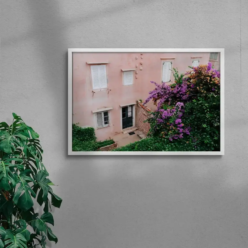Pink Wall Bougainvillea 5