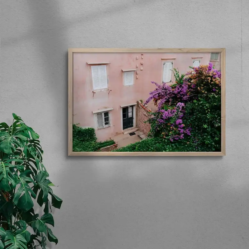 Pink Wall Bougainvillea 6