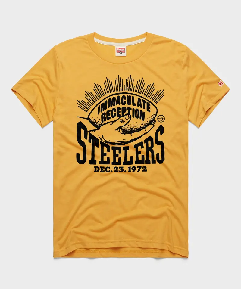 Pittsburgh Steelers Immaculate Reception 1