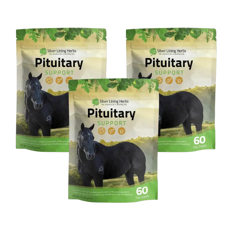 Pituitary Support For Horses 2