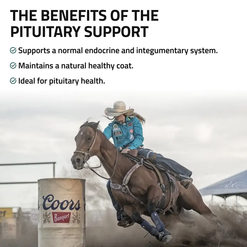 Pituitary Support For Horses 3