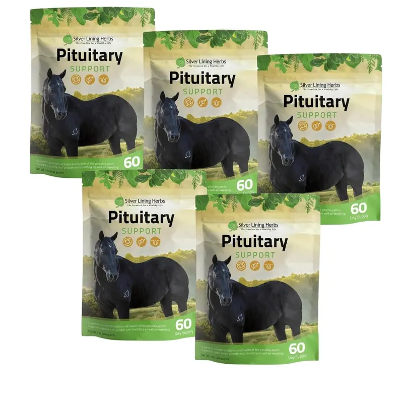 Pituitary Support For Horses 3