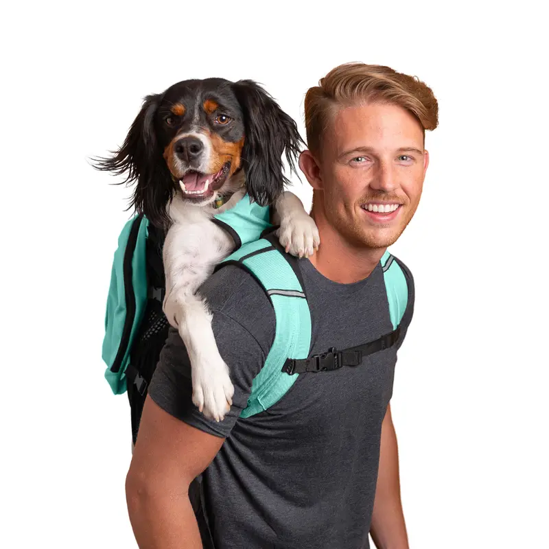 Plus 2 | Dog Carrier With Removable Storage 1