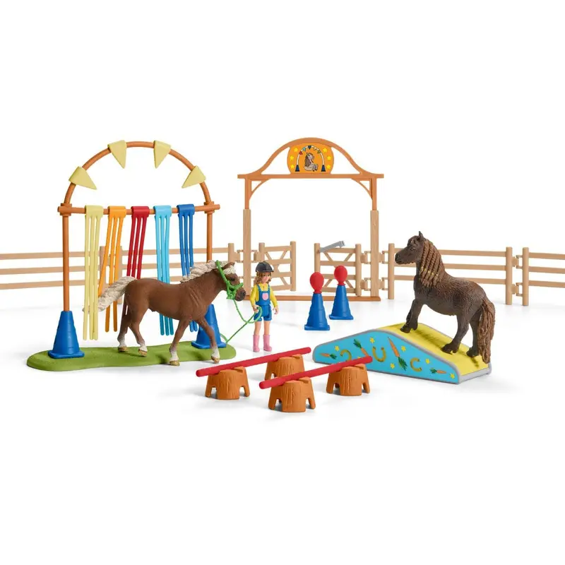 Pony Agility Training 1