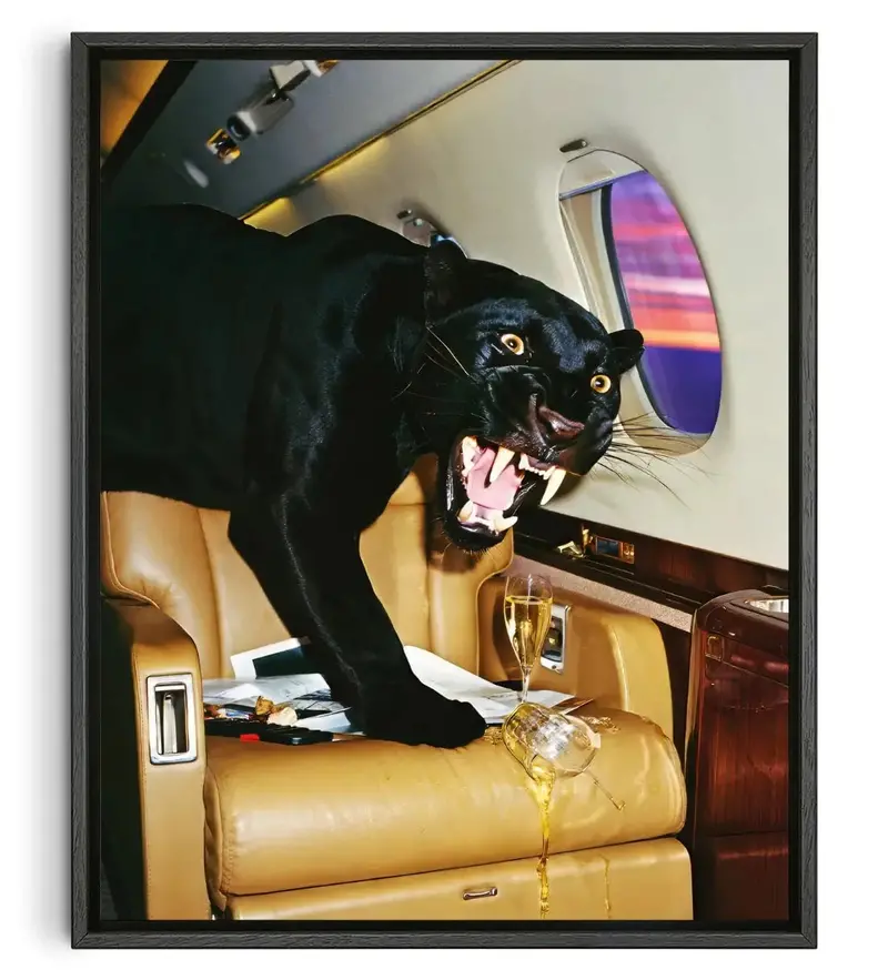 Private Landing. 1