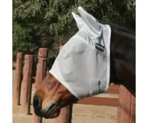 Professional Choice Eq Fly Mask With Ears 1