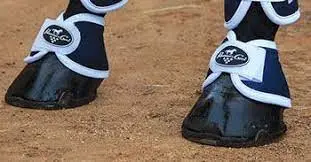 Professional Choice Magnetic Bell Boots 1