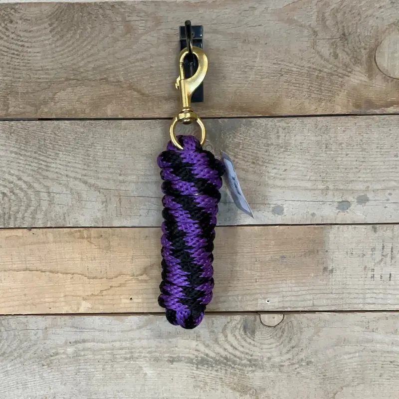 Professional Choice Poly Lead Rope 10’ 1