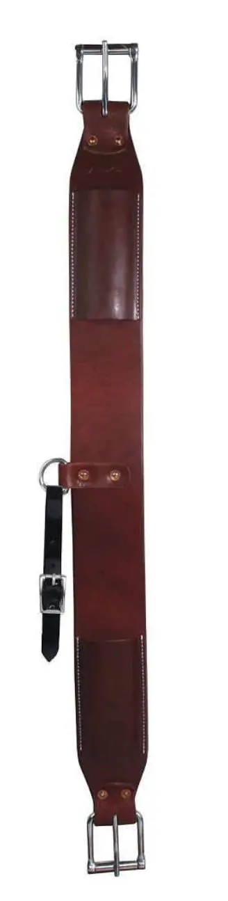 Professional Choice Rear Flank Cinch D&S 3” 1