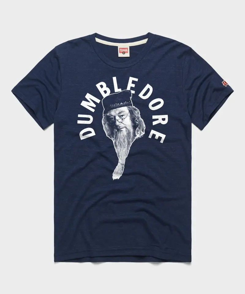Professor Dumbledore 1