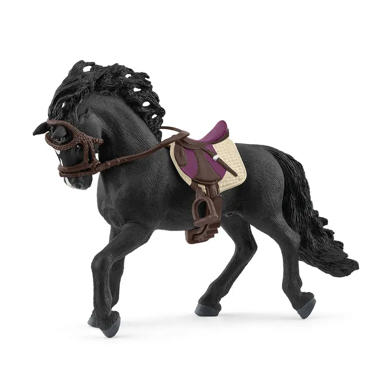 Pura Raza Española Stallion With Saddle And Bridle 1
