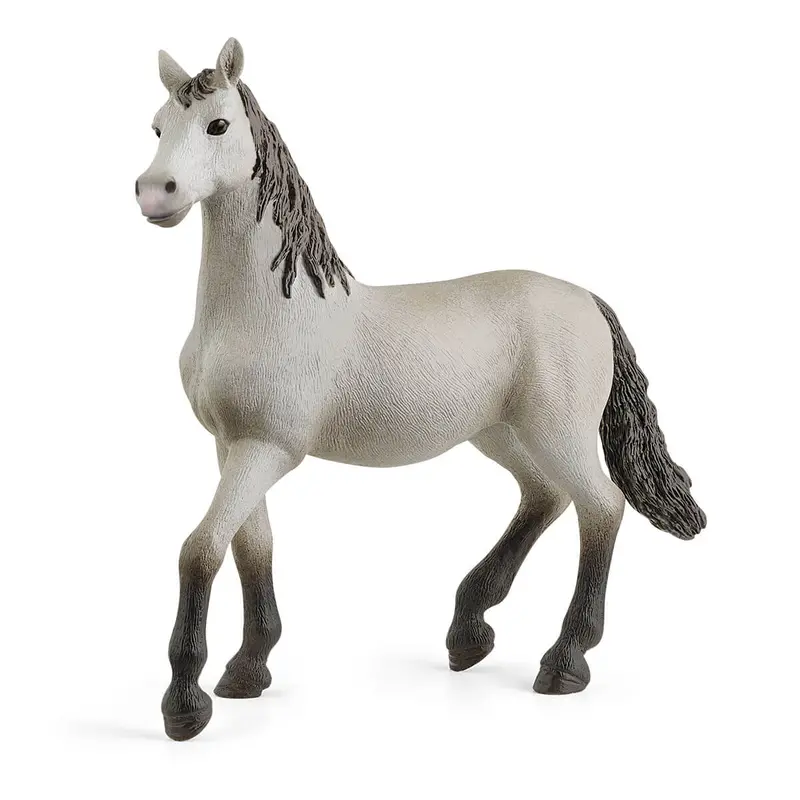 Pura Raza Española Young Horse 1