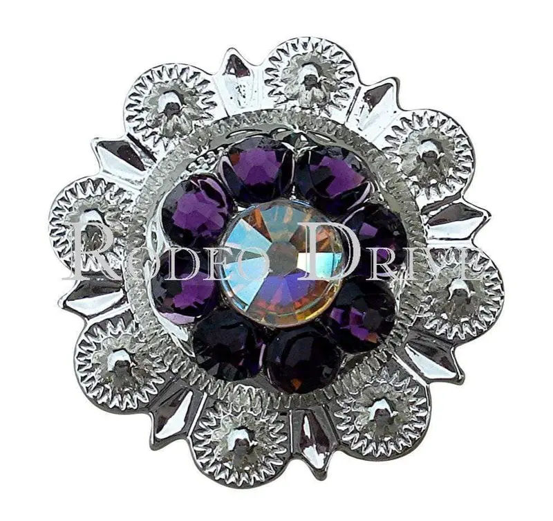 Purple & Ab Bright Silver 1" European Crystal Concho 1