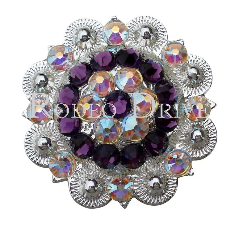 Purple & Ab Bright Silver 2" European Crystal Concho 1