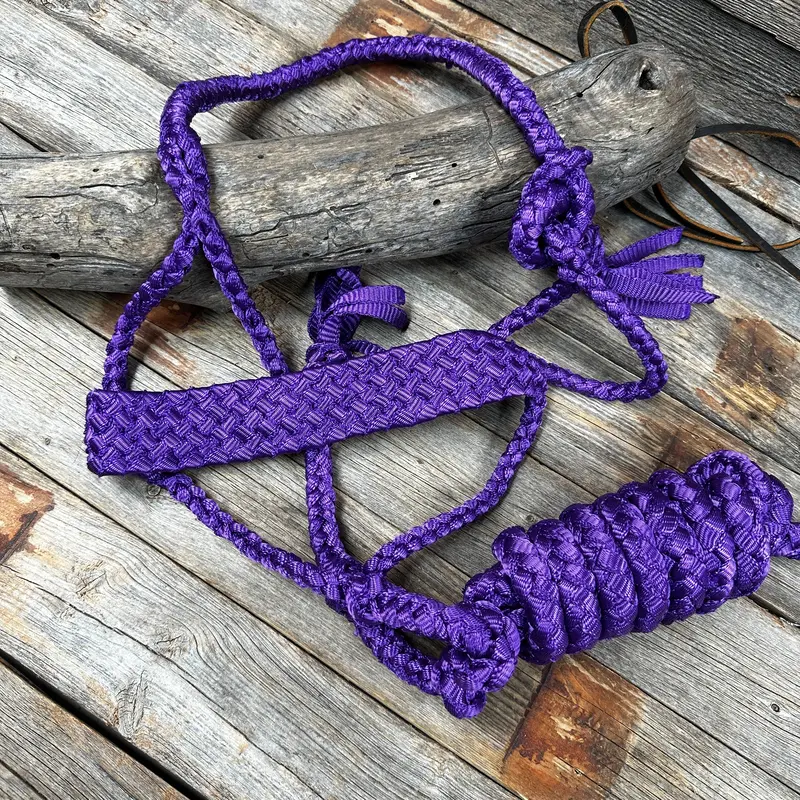 Purple Flat Braided Mule Tape Halter 1
