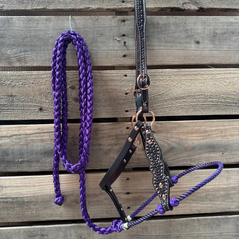 Purple Honeycomb Tooled Lariat & Leather Combo Halter 1