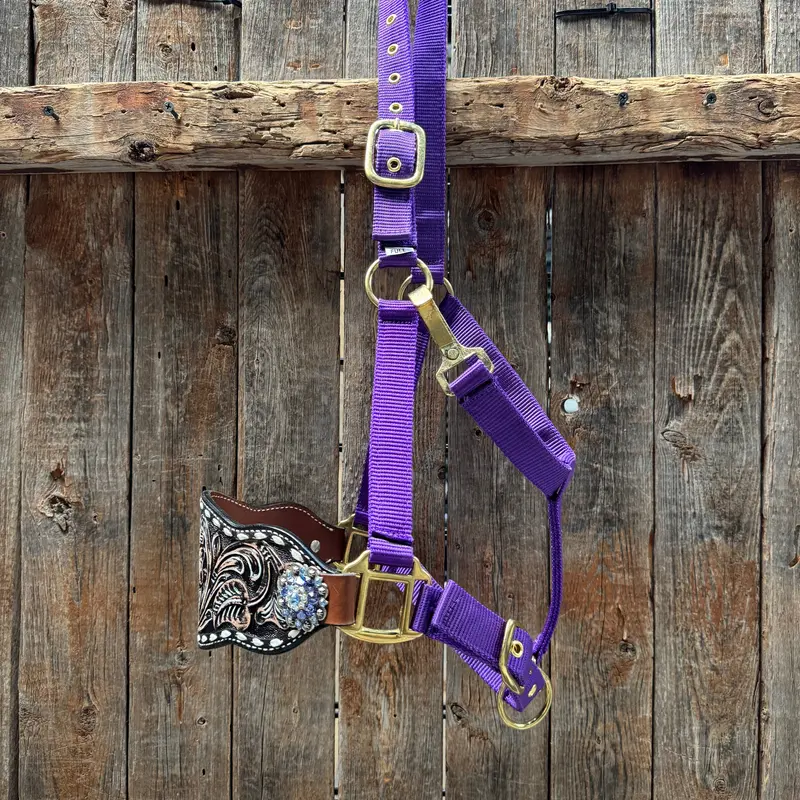 Purple Nylon Horse Halter – Bronc Noseband With Crystal Conchos Nh108 1