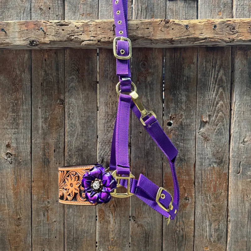 Purple Nylon Horse Halter – Bronc Noseband With Crystal Conchos Nh109 1