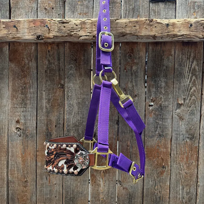 Purple Nylon Horse Halter – Bronc Noseband With Western Conchos Nh110 1