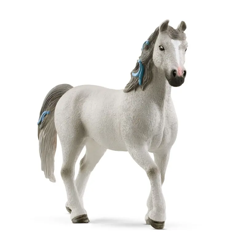 Quarter Horse Gelding 1