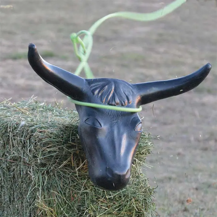 Rattler Steer Head 1