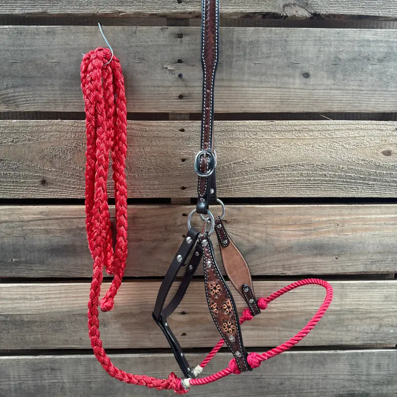 Red Flower Power Tooled Lariat & Leather Combo Halter 1