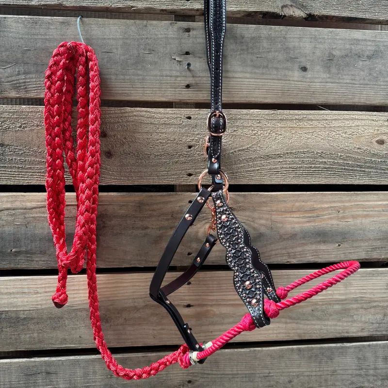 Red Honeycomb Tooled Lariat & Leather Combo Halter 1