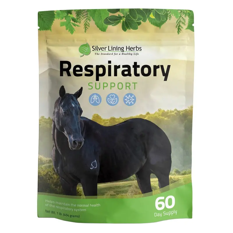Respiratory Support For Horses 1