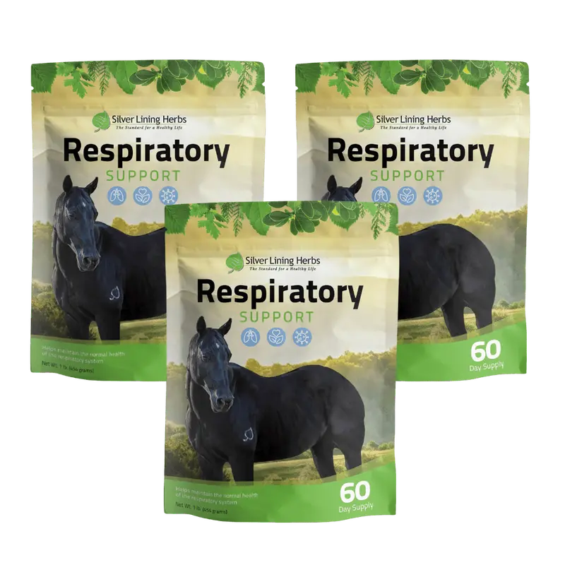 Respiratory Support For Horses 2