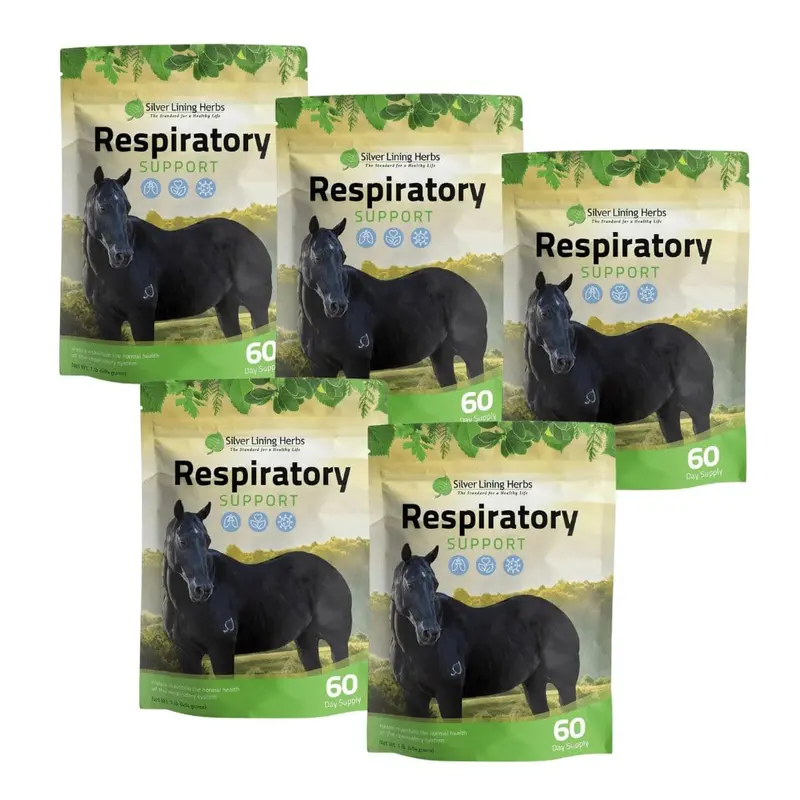 Respiratory Support For Horses 3