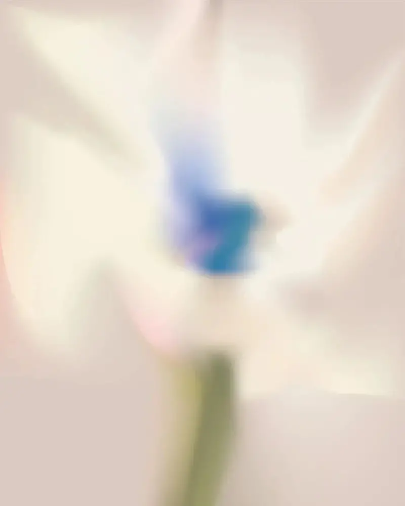 Rev_White Flower 2