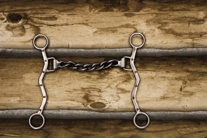 Ricky Green Shank Chain Bit 1