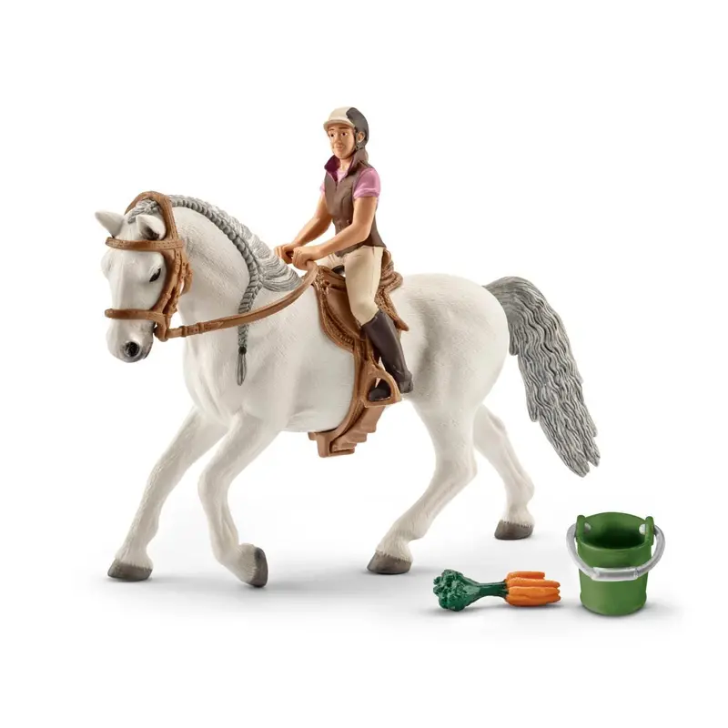 Rider With Lipizzaner Mare 1