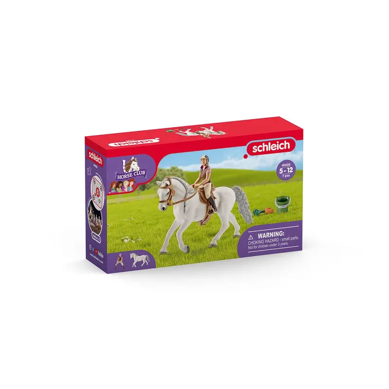 Rider With Lipizzaner Mare 2