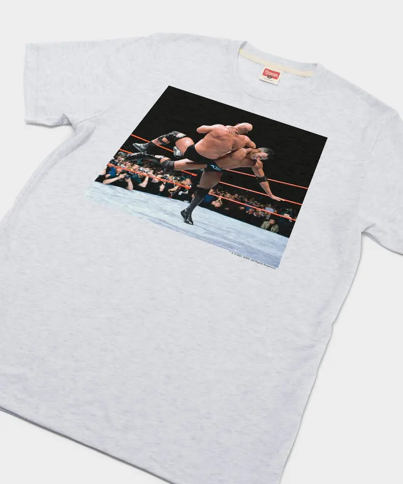Rock Bottom Wrestlemania Xv 2