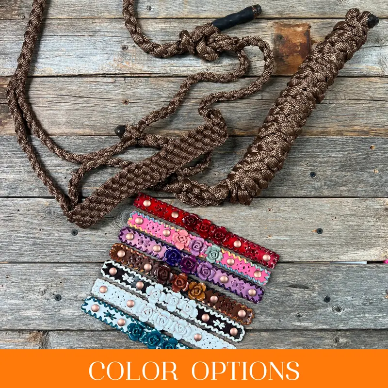 Rose - Brown Mule Tape Halter 1