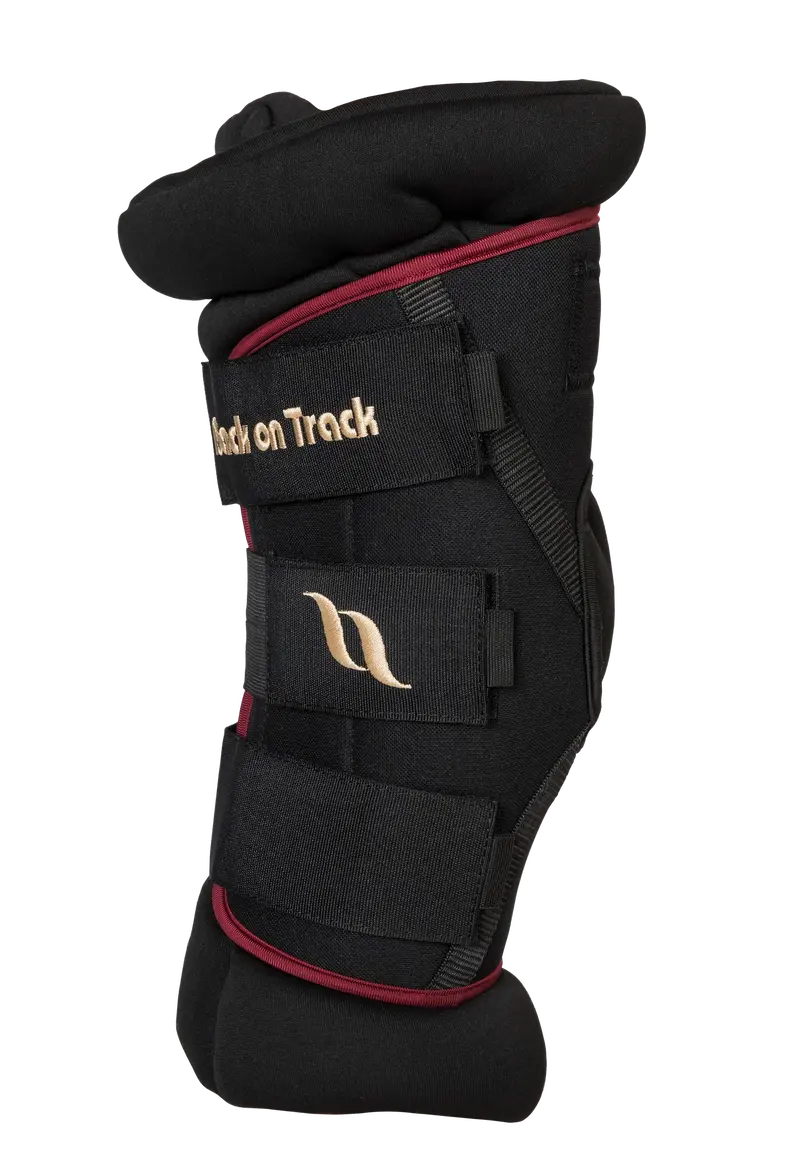 Royal Padded Hock Boots Deluxe 1