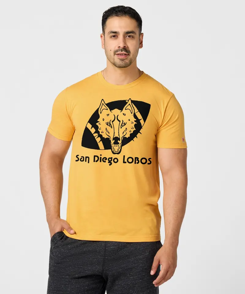 San Diego Lobos 3